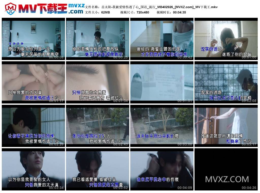 岳太阳-我被爱情伤透了心_国语_流行_MB402926